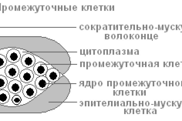 Кракен маркетплейс что это