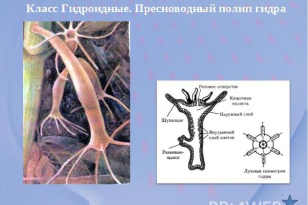 Как пополнить кракен