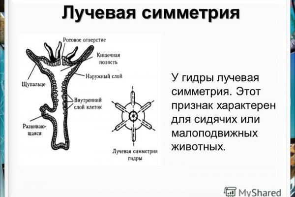 Как зайти на кракен kr2web in