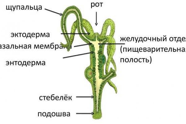 Почему не работает сайт кракен