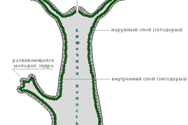 Кракен как зайти через тор браузер